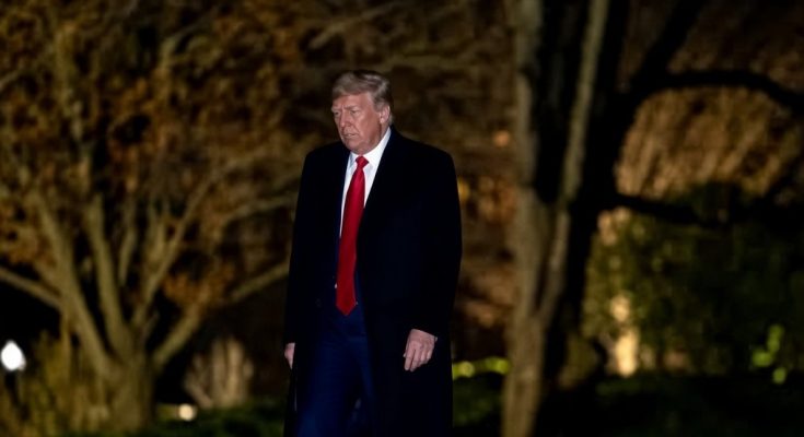 trump, Musk Mend Fences As Musk Commits $100M+ To Boost GOP In Midterms