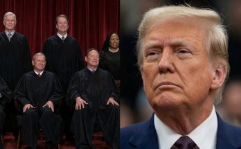 supreme Court justices Trump